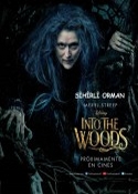 Sihirli Orman – Into the Woods